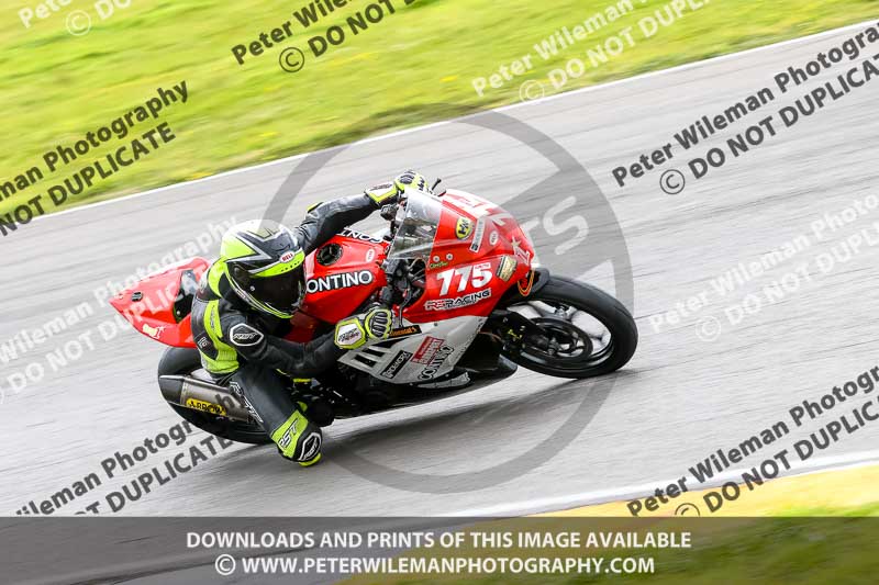 PJ Motorsport 2019;anglesey no limits trackday;anglesey photographs;anglesey trackday photographs;enduro digital images;event digital images;eventdigitalimages;no limits trackdays;peter wileman photography;racing digital images;trac mon;trackday digital images;trackday photos;ty croes